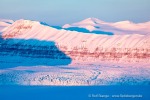 190307b_Fjordnibba_39_D