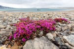 160602c_Bjonahamna_07_D