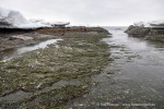 220504a_Midterhukhamna_085_D