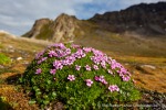 a5v_Midterhukhamna_30Juli14_074_D
