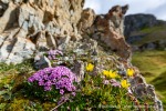 a5v_Midterhukhamna_30Juli14_094_D