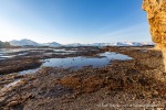 b1n_Midterhukhamna_22Sept14_001_D