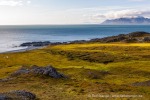 g3_Midterhukhamna_24Aug12_40_D