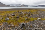 220807_Trygghamna_33_D