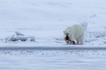 220505d_Ymerbukta_30_D