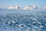 Ymerbukta_03Okt08_14_D