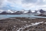 a1_Ymerbukta_23Sept09_28_D