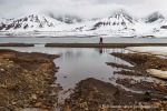 a6_Ymerbukta_25Juni12_21_D