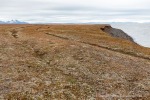 170712c_Erdmannodden_02_D