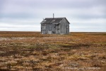 230823a_Erdmannflya_120_D