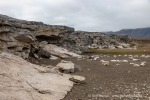 240717a_Tundraodden_017_D