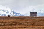 b1_Flytangen-Hytta_26Juni12_03_D