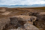 b1j_Erdmannflya_05Aug15_184_D