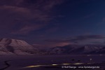 250130b_Kuhaugen_20_D