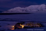 250130b_Kuhaugen_22_D