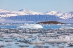 230702c_Borebukta_23_D