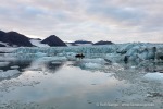240921c_Borebreen_56_D