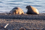 210808_Ratangen_27_D