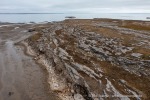 240717a_Tundraodden_079_D