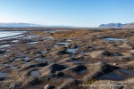 240907a_Tundraodden_01_D