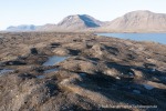 240907a_Tundraodden_27_D