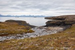 240726_Bohemanflya_004_D