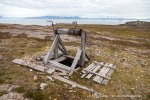240726_Bohemanflya_250_D