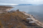 240726_Bohemanflya_311_D