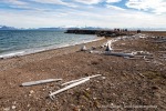 190704b_Bohemanneset_14_D