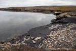 240726_Bohemanflya_201_D