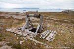 240726_Bohemanflya_250_D