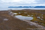 240726_Bohemanflya_273_D