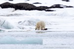 190608d_Sveabreen_29_D