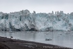 170628a_Wahlenbergbreen_010_D