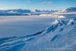 230310e_Mohnbukta_52_D