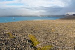 170803f_Jaderinfjord_046_D