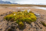 180816b_Kapp-Borthen_001_D
