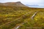 200724_Svenskehuset_158_D
