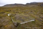 210727_Svenskehuset_016_D
