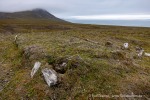 210727_Svenskehuset_030_D