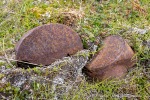 210727_Svenskehuset_068_D