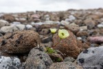 210817c_Mollbukta_110_D
