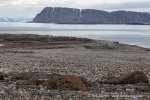 210817c_Mollbukta_130_D