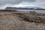 210817c_Mollbukta_139_D