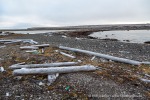 b1u_Mollbukta_13Aug15_040_D