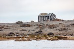 b1u_Mollbukta_13Aug15_054_D