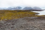 160921c_Sigridholmen_02_D