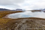 160921c_Sigridholmen_21_D