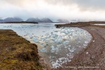 160921c_Sigridholmen_41_D