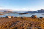 190921g_Sigridholmen_062_D